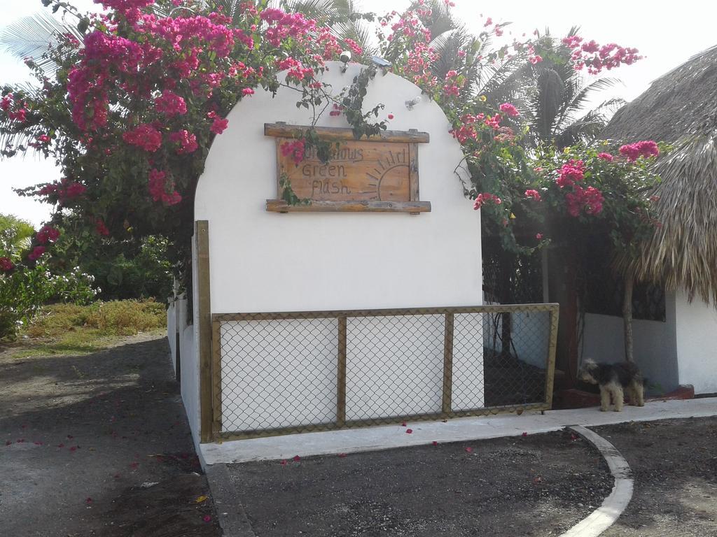 Bungalows Familiares Monterrico Extérieur photo