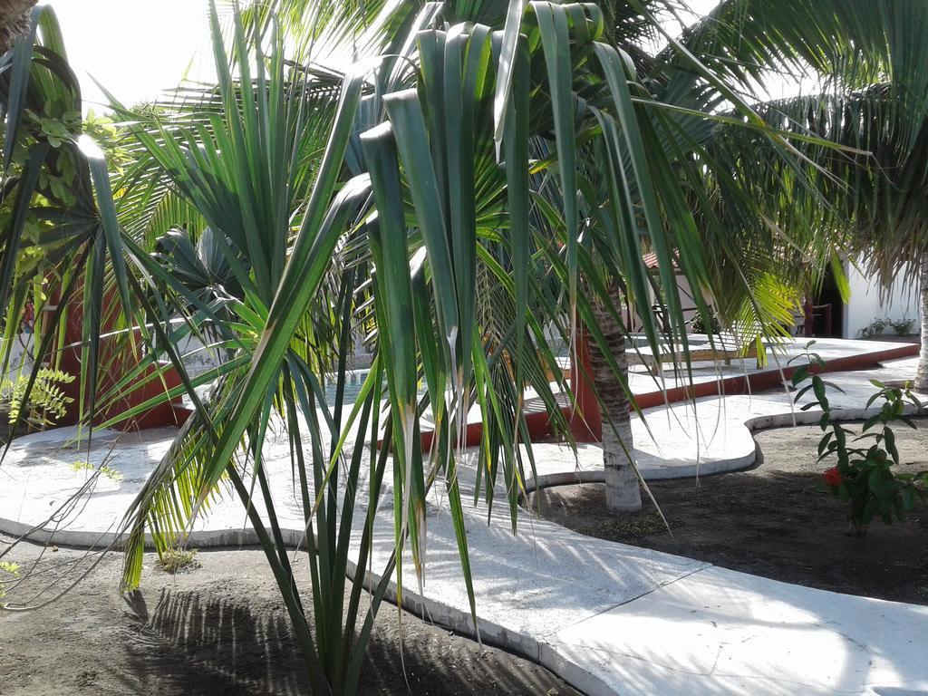 Bungalows Familiares Monterrico Extérieur photo